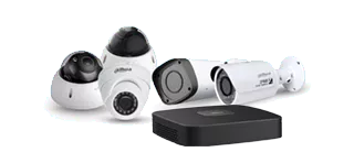 محصولات داهوا